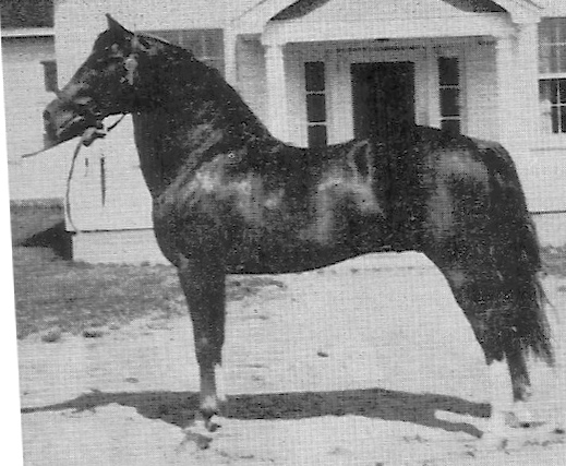 Royalton Bob Woodstock-01