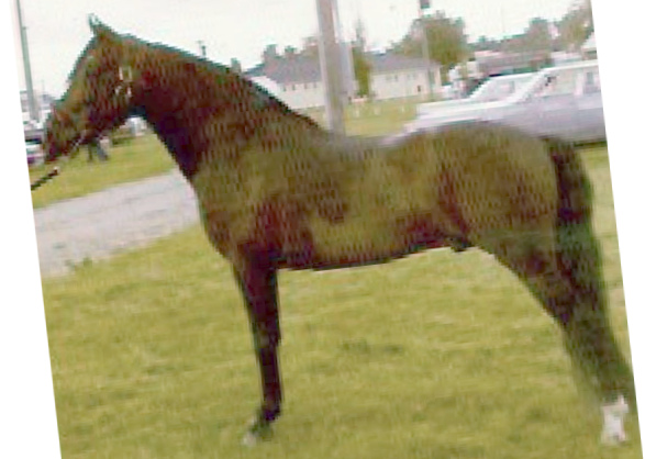 Royalton Ebenezer-01