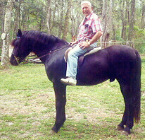 Ryegate Black Bart-01