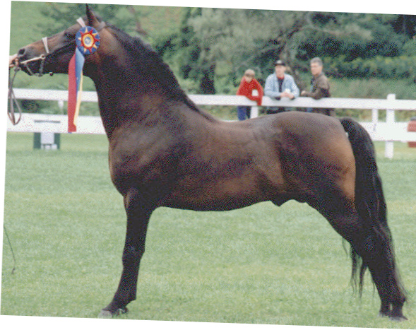 Ryegate Syndicate-01