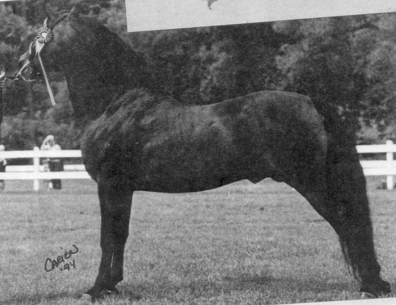 Ryegate Syndicate-02