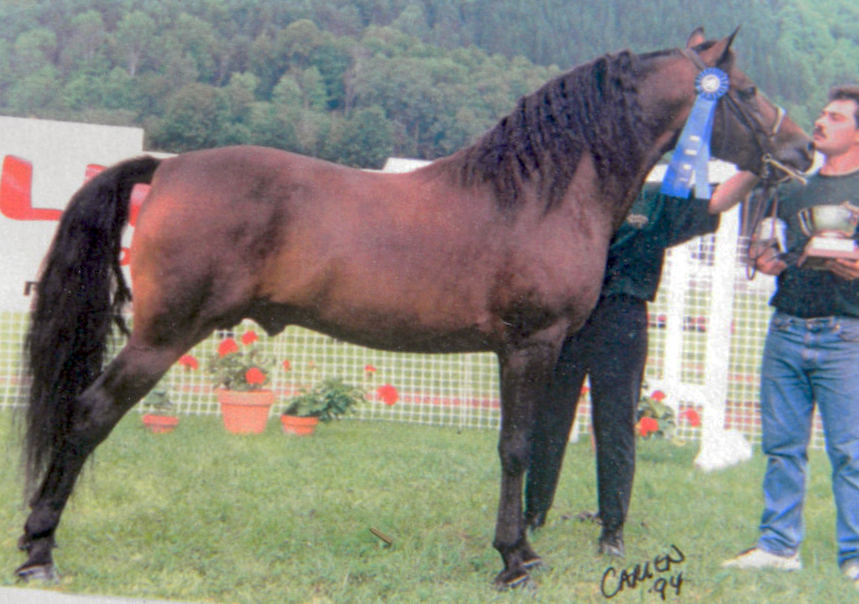 Ryegate Syndicate-04