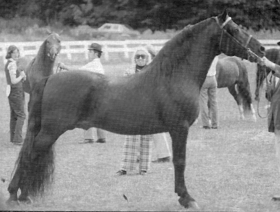 Stillwater Indigo-03