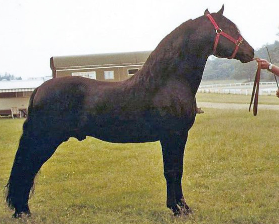 Stillwater Indigo-04