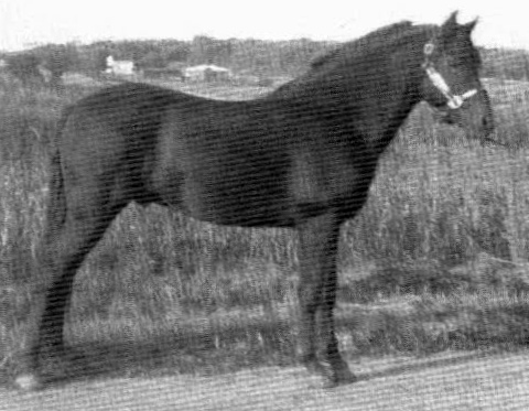 Tiffin Moro Ashby-01