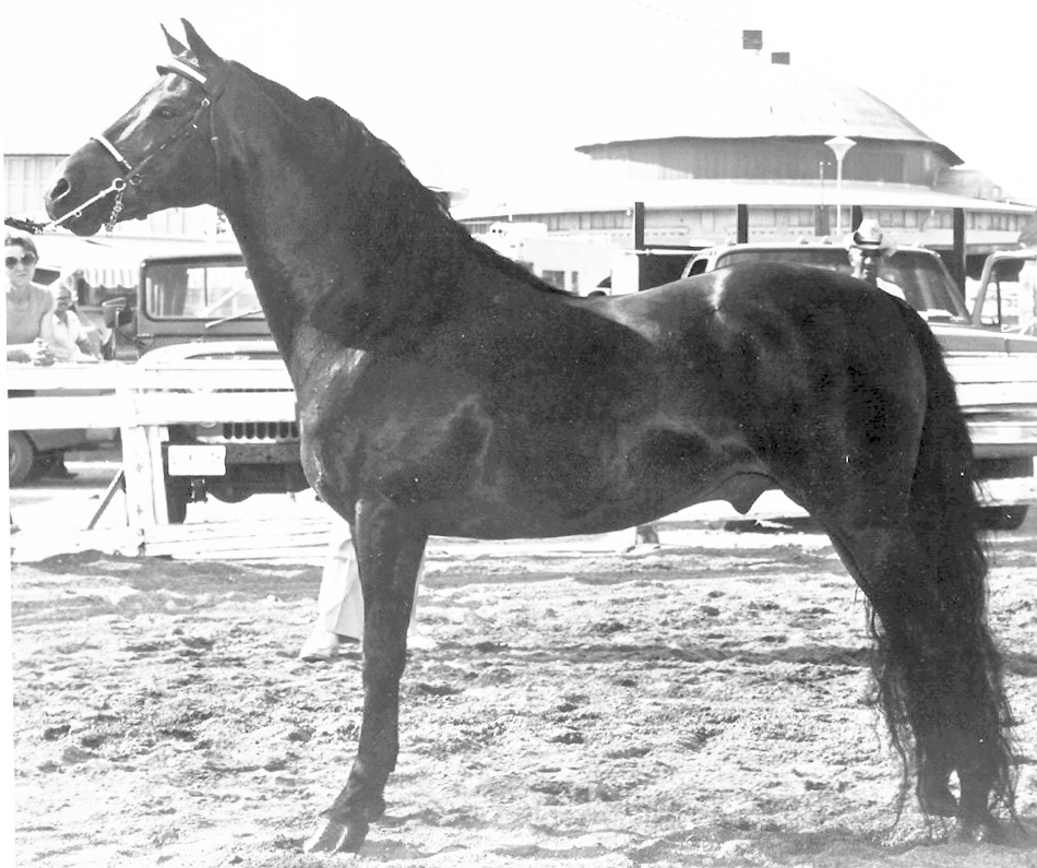 Tradition Derby Day-01