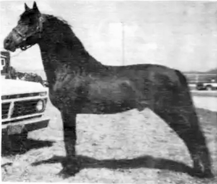 Trumor Ethan Allen-02