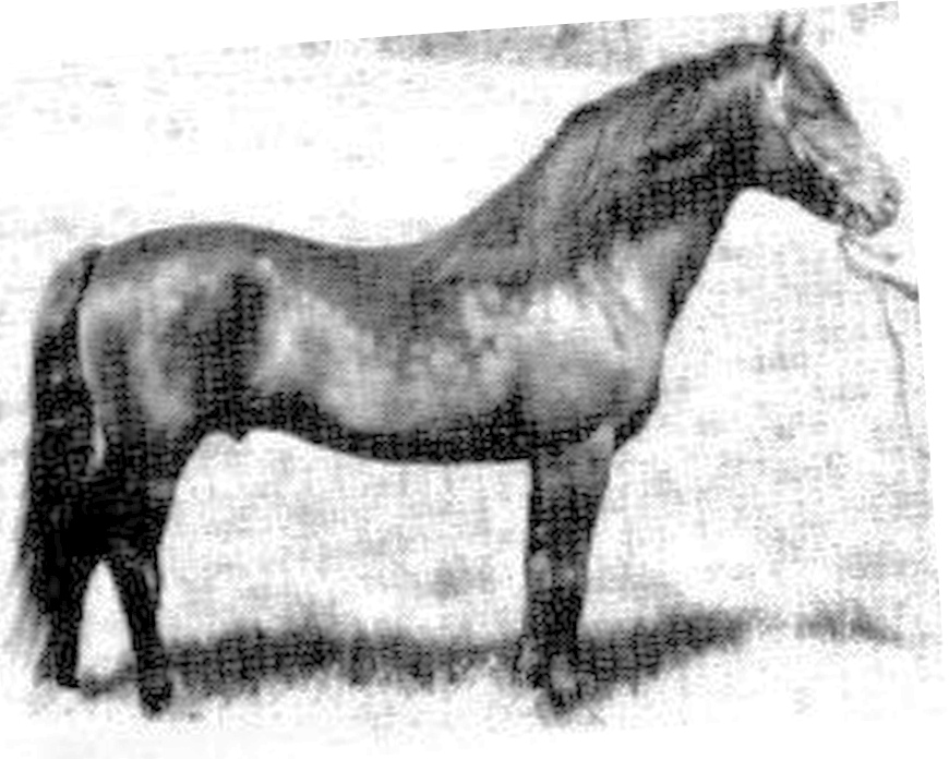 Venturous Patriot-01