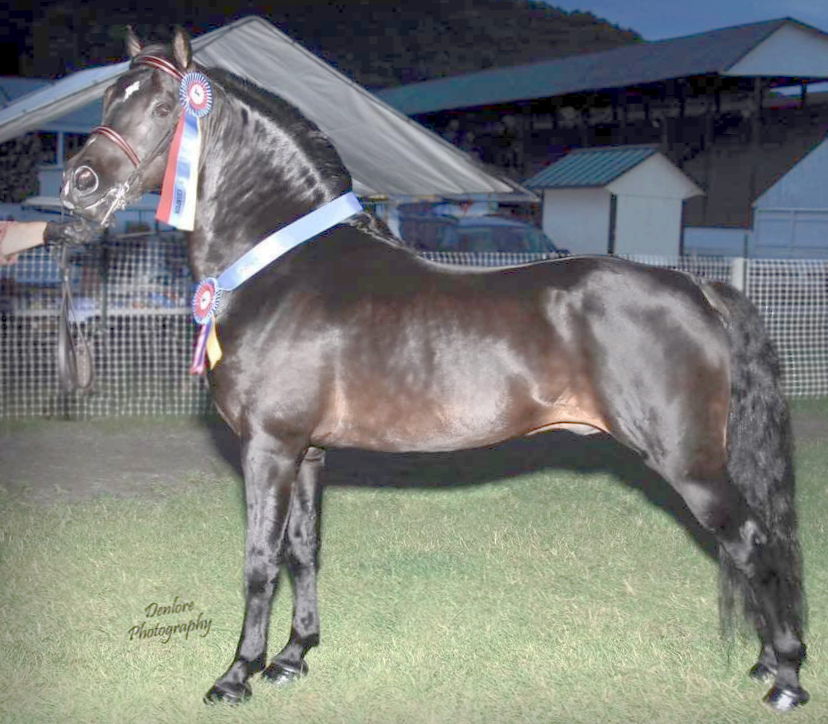 Weathermont Ethan-01