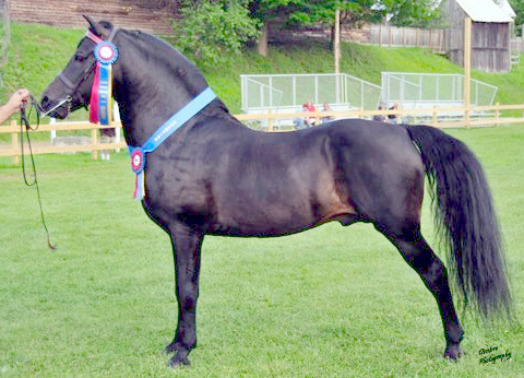 Weathermont Ethan-02