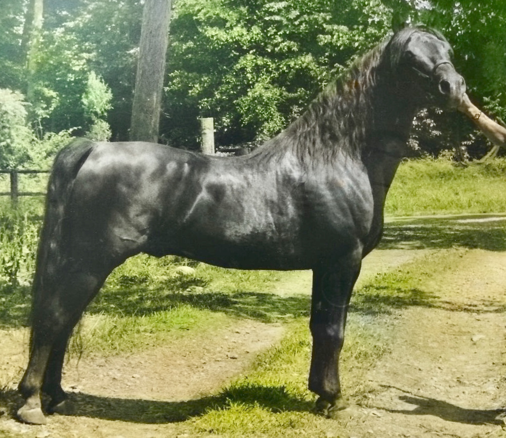 Winloc Sir Arthur-01