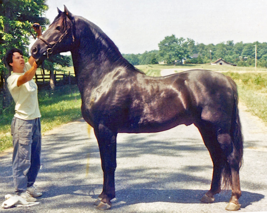 Winloc Sir Arthur-02