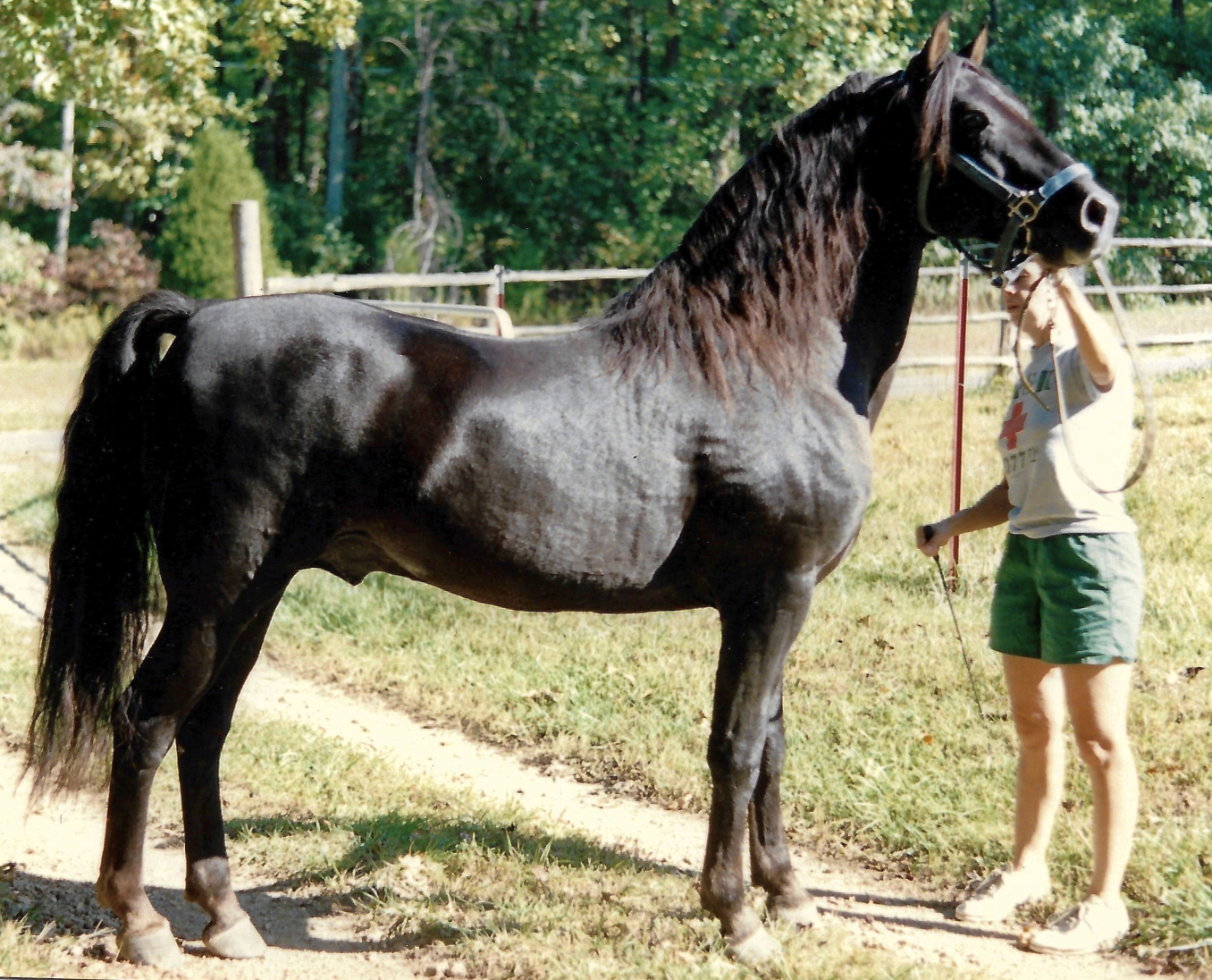 Winloc Sir Arthur-03